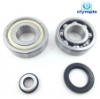 Kit rulmenti + semering ambielaj - Yamaha Majesty 4T 250cc - Olympia