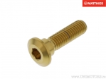 Féktárcsa csavar M8 x 1.25 x 24 mm inox A4 arany - Honda ADV 350 A ABS / AFS 110 2SH i Wave / ANF 125 Innova / VTR 250 - JM