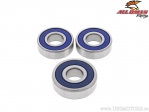 Rear Wheel Bearing Kit - Honda VT500C / VT500FT / Suzuki RM250 / VS750GLP Intruder / Yamaha XJ650 / XZ550 - All Balls