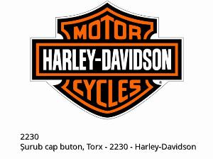 Śruba, łeb soczewkowy, Torx - 2230 - Harley-Davidson