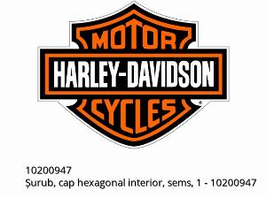 Șurub, cap hexagonal interior, sems, 1 - 10200947 - Harley-Davidson