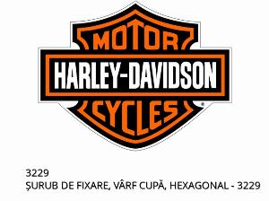 ȘURUB DE FIXARE, VÂRF CUPĂ, HEXAGONAL - 3229 - Harley-Davidson