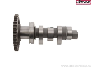Άξονας ήρθε Στάδιο 2 - Honda CRF250 R ('04-'09) / CRF250 X ('04-'18) - Hot Cams