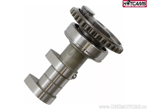 Άξονας ήρθε εκκένωση Στάδιο 2 - Yamaha YZ250 F 4T ('14-'16) - Hot Cams