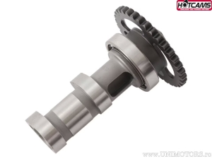 Άξονας ήρθε εξάτμιση Στάδιο 1 - Suzuki LT-R450 Quadracer ('06-'09) - Hot Cams