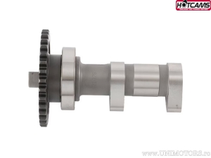 Άξονας ήρθε εξάτμιση Στάδιο 1 - Suzuki LT-R450 Quadracer ('06-'09) - Hot Cams