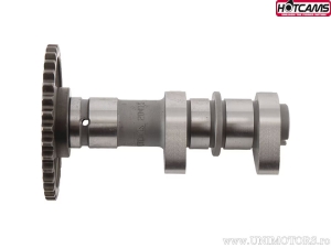 Άξονας εισαγωγής Στάδιο 1 - Arctic Cat DVX400 2WD / Kawasaki KFX400 / KLX400 SR / Suzuki DR-Z400 / LT-Z400 