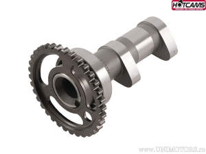 Άξονας εισαγωγής Στάδιο 1 - Suzuki LT-R450 Quadracer ('06-'09) - Hot Cams
