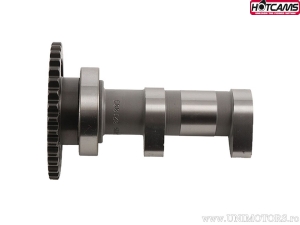 Άξονας εισαγωγής Στάδιο 1 - Suzuki LT-R450 Quadracer ('06-'09) - Hot Cams