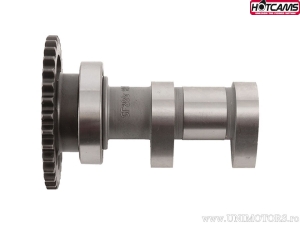 Άξονας εισαγωγής Στάδιο 1 - Suzuki RM-Z250 ('10-'18) - Hot Cams