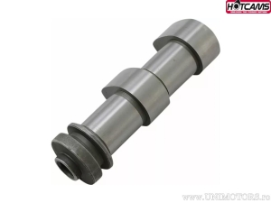 Άξονας εισαγωγής Στάδιο 2 - Kawasaki KL650 A (KLR / '96-'07) / KL650 E (KLR / '08-'18) - Hot Cams
