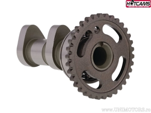 Άξονας εισαγωγής Stage 2 - Kawasaki KX450 F ('06-'18) - Hot Cams