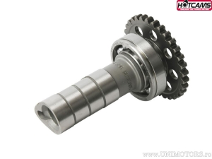 Άξονας εισαγωγής Stage 2 - Yamaha YZ250 F 4T ('17-'18) - Hot Cams