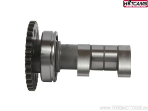 Άξονας εισαγωγής Stage 2 - Yamaha YZ250 F 4T ('17-'18) - Hot Cams