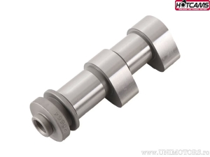 Άξονας εξαγωγής Στάδιο 2 - Kawasaki KL650 A (KLR / '96-'07) / KL650 E (KLR / '08-'18) - Hot Cams
