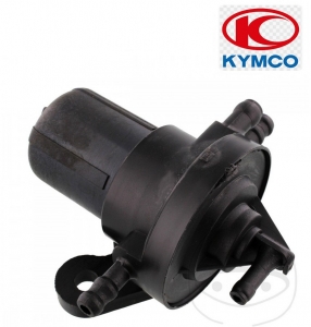 Αρχικός δοχείο βακούμ - Kymco People 50 2T ('00-'16) - JM