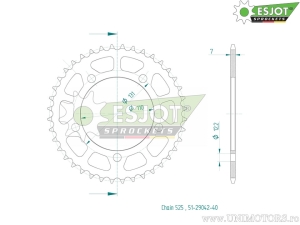 Ασημένιος πίσω πίνακας Esjot - 52 δόντια (βήμα 525) - BMW S 1000 RR / S 1000 R ABS DTC / S 1000 RR
