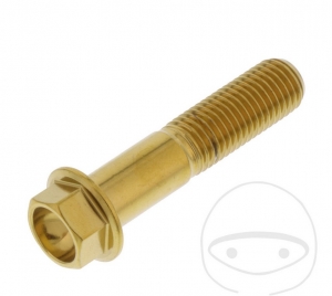 Βίδα καπάκι εξάγωνη Pro Bolt M10 x 1.25 x 45 mm ανοξείδωτο ατσάλι A4 χρυσό - JM