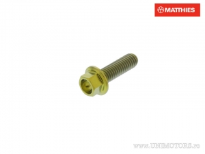 Βίδα καπάκι εξάγωνη Pro Bolt M6 x 1,00 x 20 mm τιτάνιο χρυσό - Aprilia RS 125 4T ABS Euro5 / Derbi 