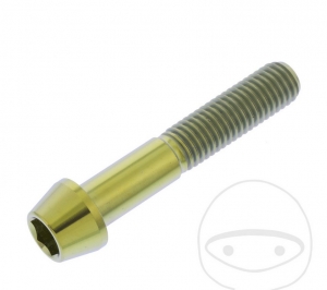 Βίδα καπάκι κωνική Pro Bolt M10 x 1.50 x 55 mm ανοξείδωτο ατσάλι A4 χρυσό - JM