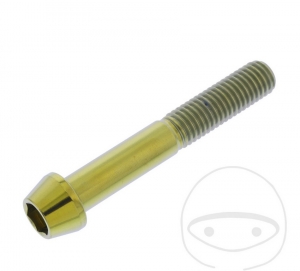 Βίδα καπάκι στρογγυλής κωνικής μορφής Pro Bolt M10 x 1.50 x 65 χιλ. ανοξείδωτο α�