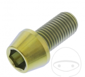 Βίδα καπάκι στρογγυλή κωνική Pro Bolt M10 x 1.25 x 20 mm ανοξείδωτο ατσάλι A4 χρυσ�