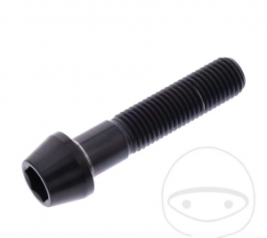 Βίδα καπάκι στρογγυλή κωνική Pro Bolt M10 x 1.25 x 45 mm ανοξείδωτο ατσάλι A4 μαύρ�