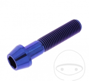 Βίδα καπάκι στρογγυλή κωνική Pro Bolt M10 x 1.25 x 45 mm ανοξείδωτο ατσάλι A4 μπλε 