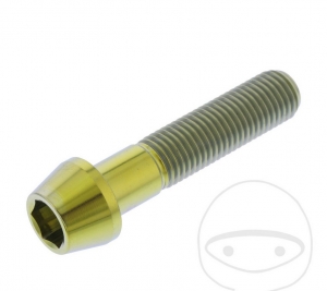 Βίδα καπάκι στρογγυλή κωνική Pro Bolt M10 x 1.25 x 45 mm ανοξείδωτο ατσάλι A4 χρυσ�