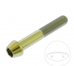 Βίδα καπάκι στρογγυλή κωνική Pro Bolt M10 x 1.25 x 60 mm ανοξείδωτο ατσάλι A4 χρυσ�
