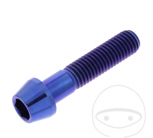 Βίδα καπάκι στρογγυλή κωνική Pro Bolt M10 x 1.50 x 45 mm ανοξείδωτο ατσάλι A4 μπλε 