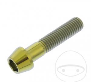 Βίδα καπάκι στρογγυλή κωνική Pro Bolt M10 x 1.50 x 45 mm ανοξείδωτο ατσάλι A4 χρυσ�