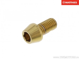 Βίδα καπάκι στρογγυλή κωνική Pro Bolt M8 x 1.25 x 15 mm ανοξείδωτο ατσάλι A4 χρυσό