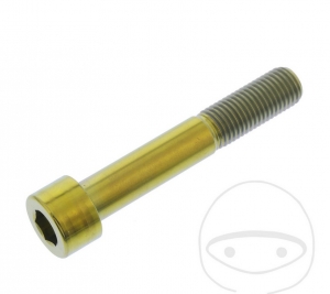 Βίδα καπάκι στρογγυλή Pro Bolt M10 x 1.25 x 60 mm ανοξείδωτο ατσάλι A4 χρυσό - JM