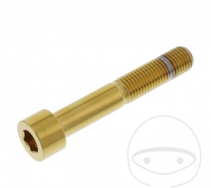 Βίδα καπάκι Pro Bolt M10 x 1.25 x 60 χιλ. ανοξείδωτο ατσάλι A4 χρυσό - JM