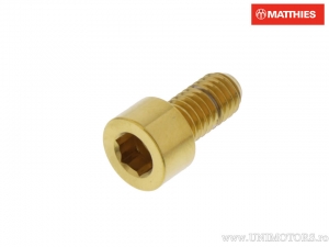 Βίδα καπάκι Pro Bolt M6 x 1.00 x 12 mm ανοξείδωτο ατσάλι A4 χρυσό - JM
