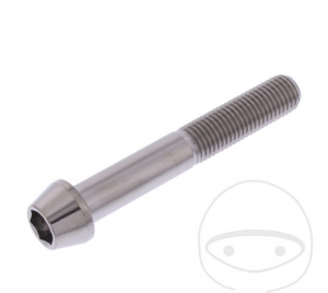 Βίδα με στρογγυλή κωνική καπάκι Pro Bolt M10 x 1.25 x 65 mm από ανοξείδωτο ατσάλι 