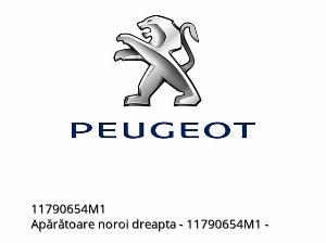Δεξιά λασπωτήρας - 11790654M1 - Peugeot