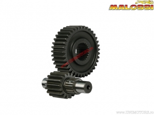 Δευτερεύουσα μετάδοση HTQ Z 17/37 (679974) - Aprilia Leonardo 250 H2O 4T E1 ('99-'01 (Yamaha) - Malossi