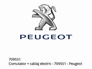 Διακόπτης + καλωδίωση - 709551 - Peugeot
