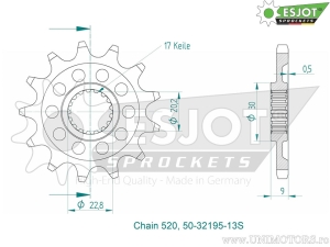 Εμπρόσθιος πίνακας Esjot - 13 δόντια (βήμα 520) - Sherco SE 250 R / SE 250 R 2T Racing / SE 300 R 2T