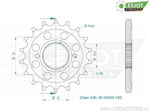 Εμπρόσθιος πίνακας Esjot - 18 δόντια (βήμα 530) - Royal Enfield Bullet 500 EFI / Royal Enfield Classi