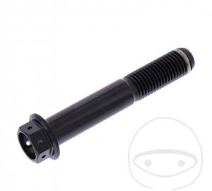 Καπάκι εξάγωνου βίδας Pro Bolt M10 x 1,50 x 60 χιλ. από ανοξείδωτο ατσάλι A4 για α�