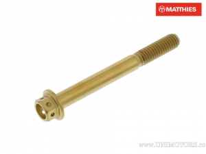 Καπάκι εξαγώνου βίδας Pro Bolt M6 x 1.00 x 55 mm inox A4 Racing χρυσαφί - JM