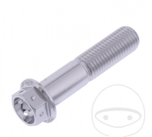 Καπάκι εξαγώνου Pro Bolt M10 x 1.25 x 45 χιλ. αλουμινίου ασημί για αγωνιστικές μ�