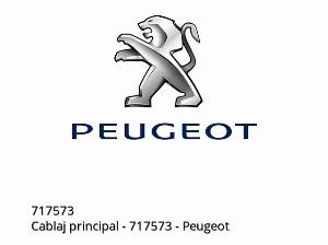 Κεντρική καλωδίωση - 717573 - Peugeot