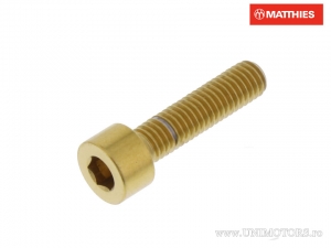 Κυκλικό βίδα Pro Bolt M5 x 0.80 x 20 mm inox A4 χρυσό - JM