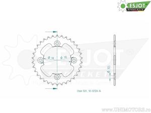 Πίνακας πίσω Esjot μαύρος - 34 δόντια (βήμα 520) - CAN-AM DS 450 - X International - X-mx - X-mx Inte