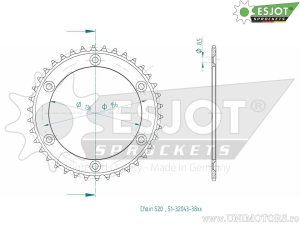 Πίσω γρανάζι Esjot ασημί - 38 δόντια (βήμα 520) - Brixton Crossfire 500 ABS - X ABS / Gas Gas Pampera
