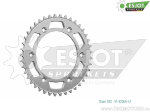 Πίσω γρανάζι Esjot ασημί - 41 δόντια (βήμα 520) - Brixton Crossfire 500 ABS - X ABS / Gas Gas Pampera